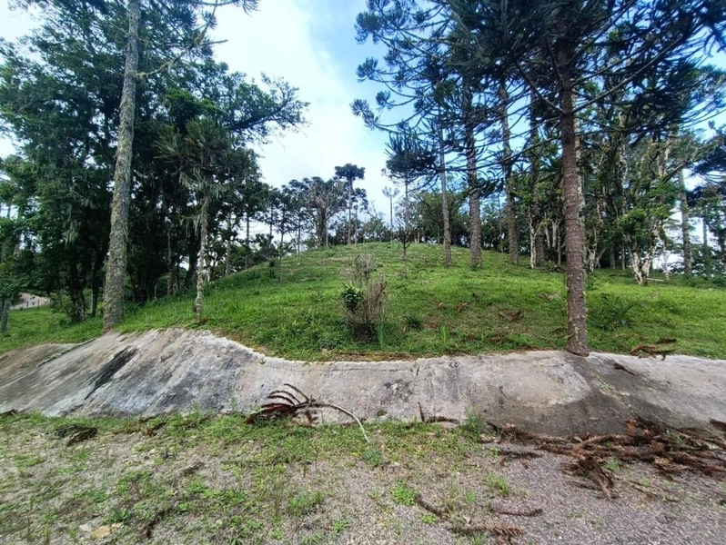 null: 3ª foto da galeria de imagens do imóvel