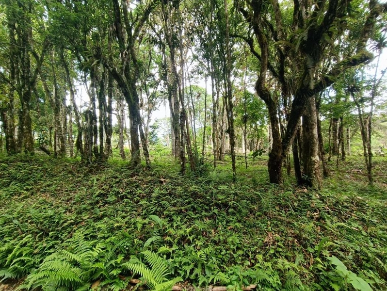 null: 38ª foto da galeria de imagens do imóvel