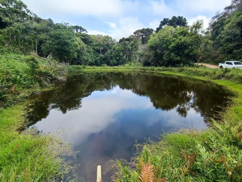 null: 40ª foto da galeria de imagens do imóvel