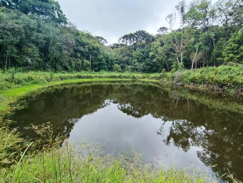 null: 41ª foto da galeria de imagens do imóvel