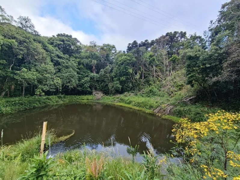 null: 43ª foto da galeria de imagens do imóvel