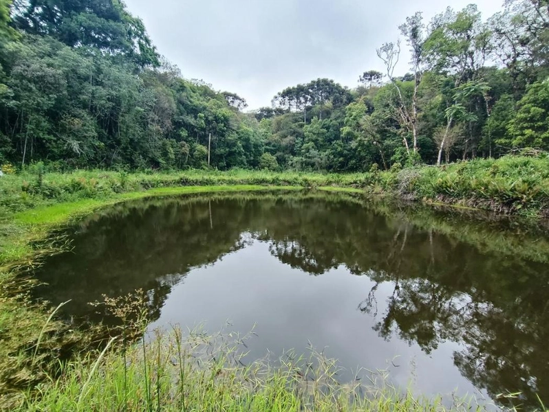 null: 45ª foto da galeria de imagens do imóvel