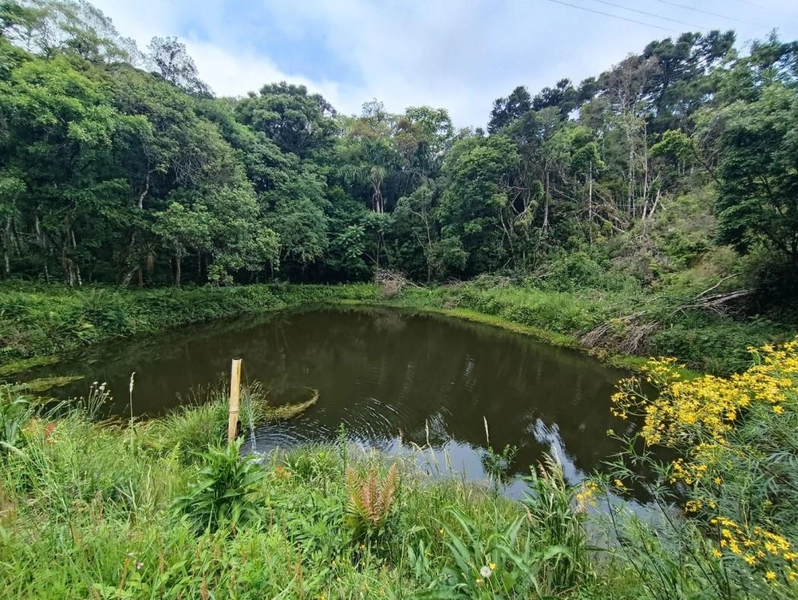 null: 47ª foto da galeria de imagens do imóvel