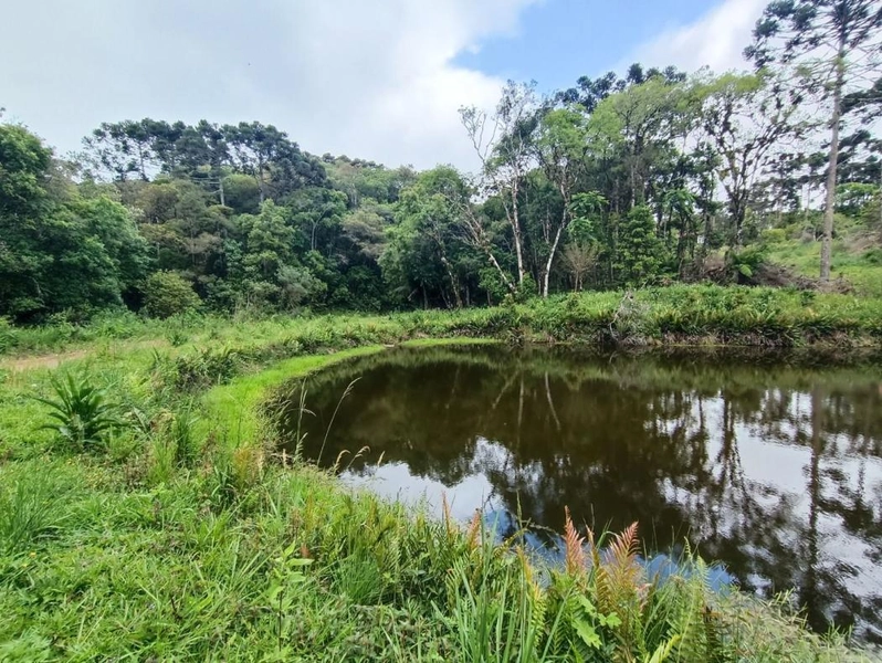 null: 49ª foto da galeria de imagens do imóvel