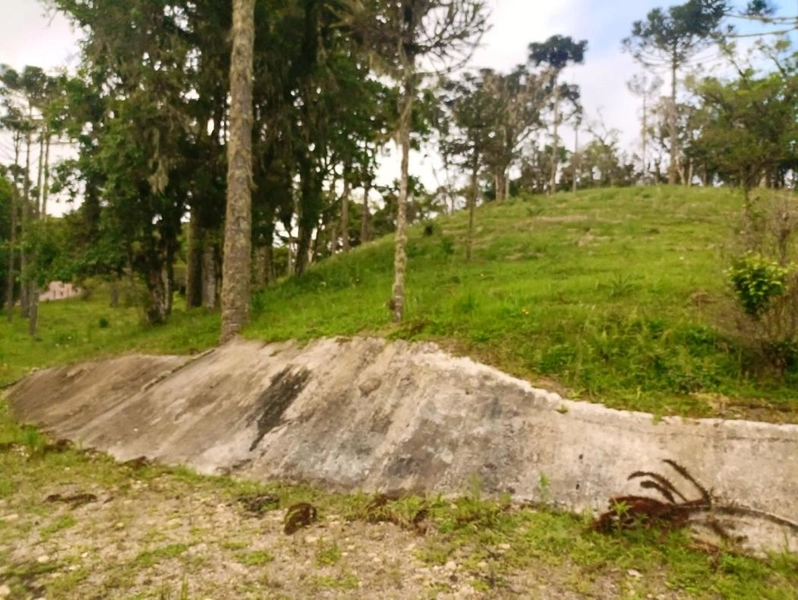 null: 5ª foto da galeria de imagens do imóvel