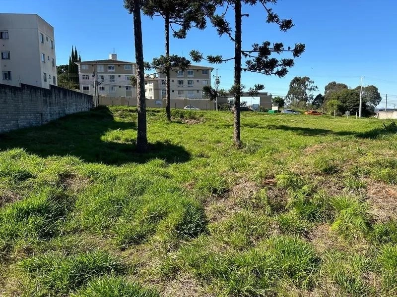 null: 12ª foto da galeria de imagens do imóvel