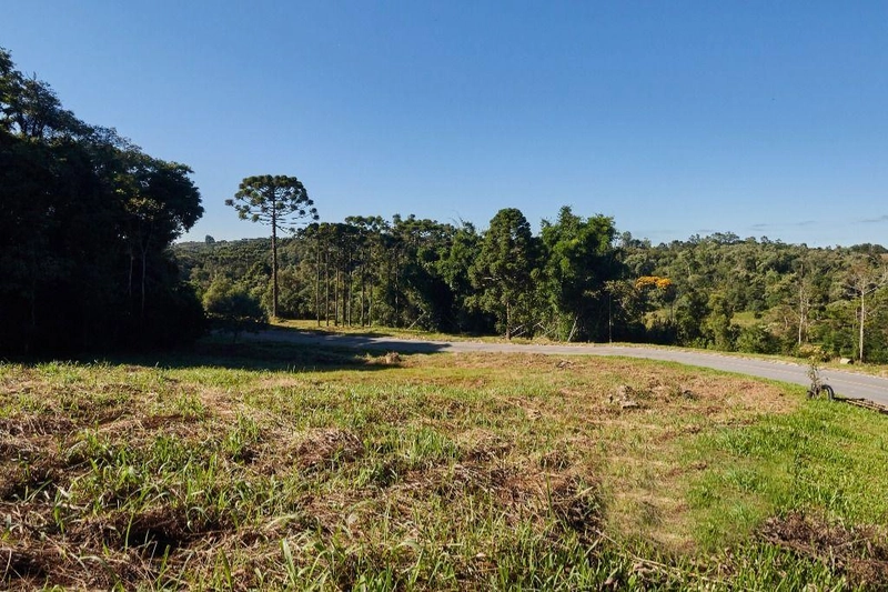 null: 5ª foto da galeria de imagens do imóvel