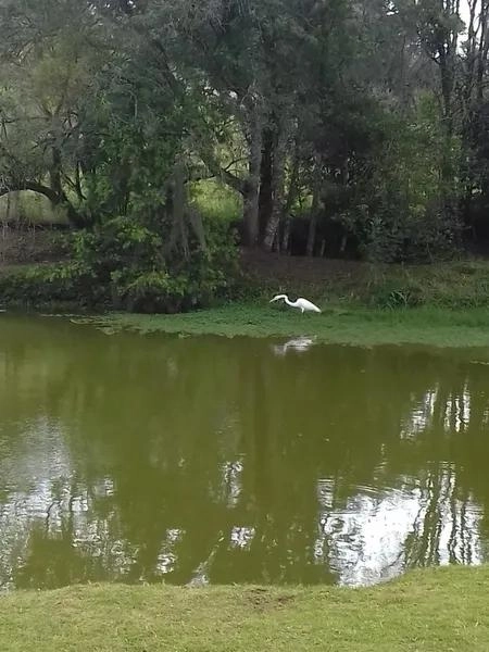 null: 15ª foto da galeria de imagens do imóvel