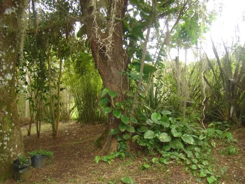 null: 18ª foto da galeria de imagens do imóvel