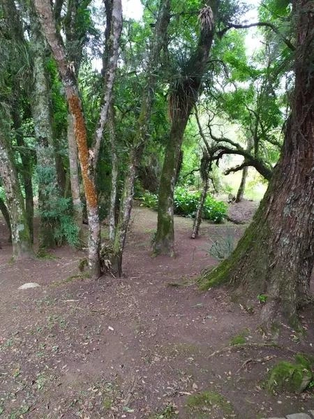 null: 21ª foto da galeria de imagens do imóvel