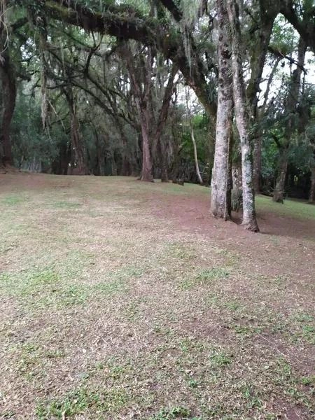 null: 22ª foto da galeria de imagens do imóvel