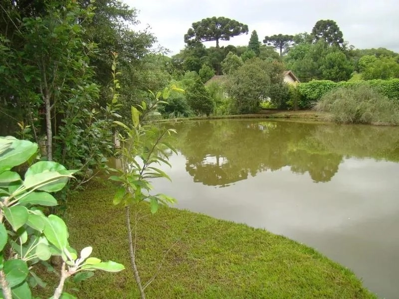 null: 25ª foto da galeria de imagens do imóvel