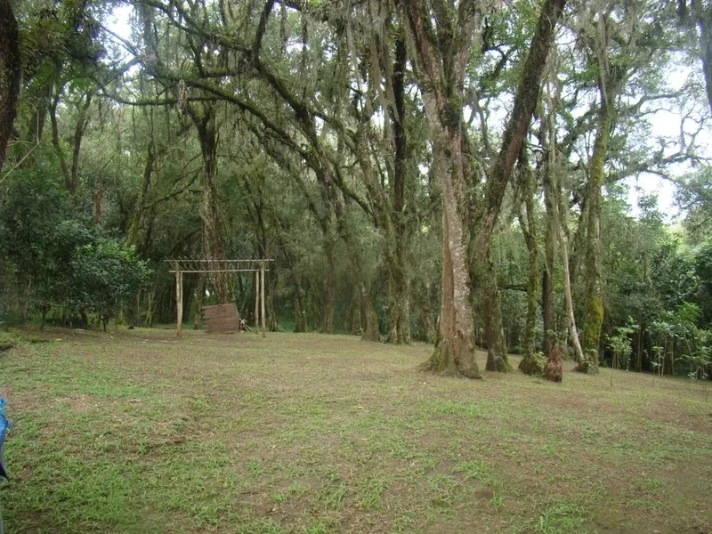 null: 8ª foto da galeria de imagens do imóvel