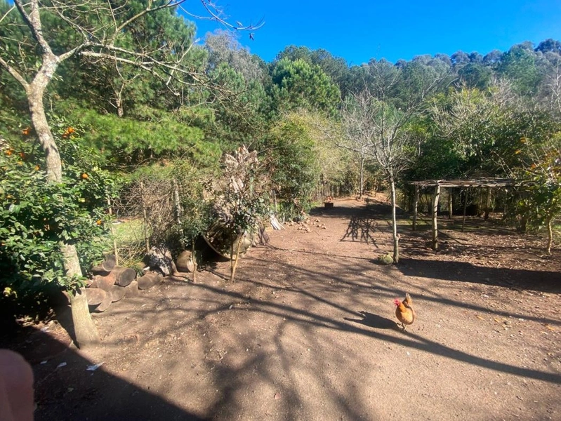 null: 23ª foto da galeria de imagens do imóvel