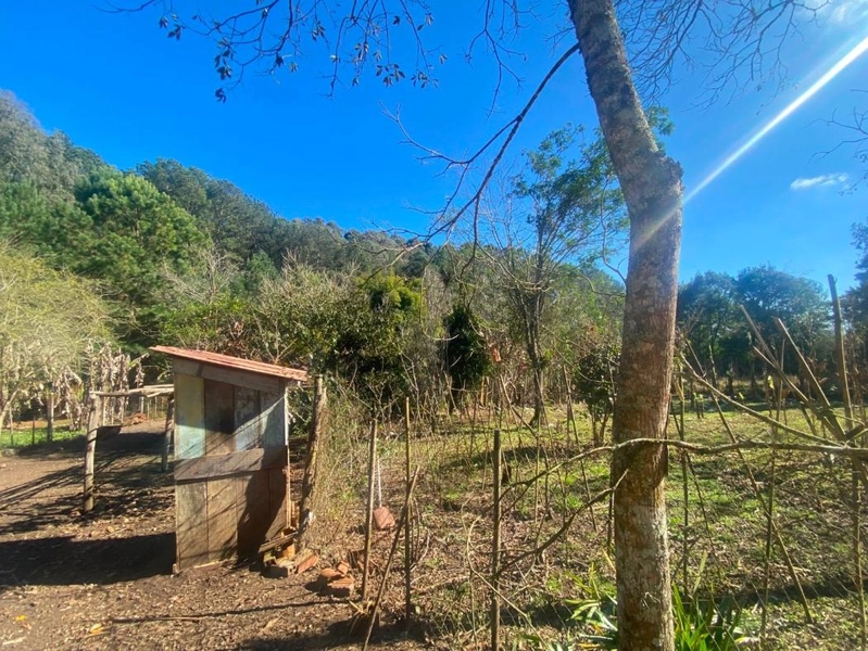 null: 26ª foto da galeria de imagens do imóvel