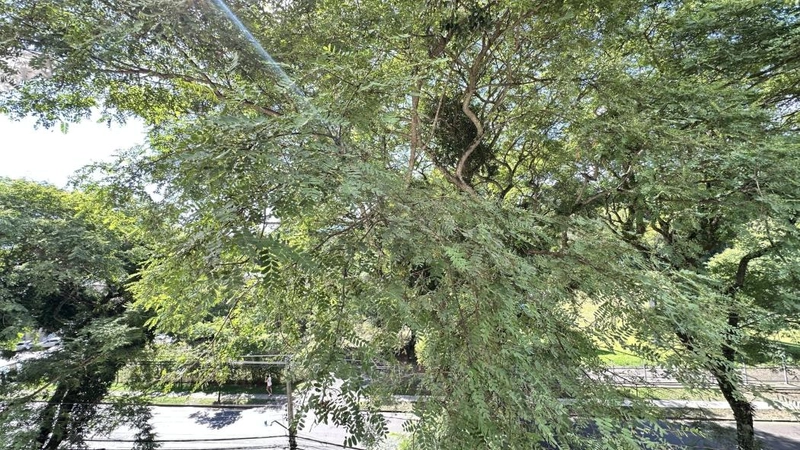 null: 8ª foto da galeria de imagens do imóvel