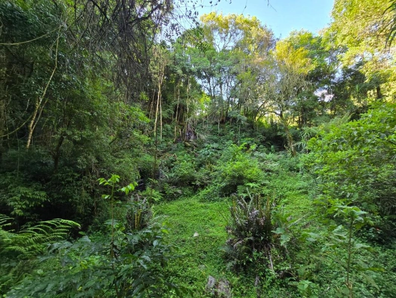 null: 11ª foto da galeria de imagens do imóvel