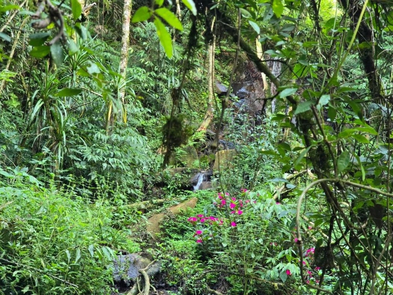 null: 13ª foto da galeria de imagens do imóvel