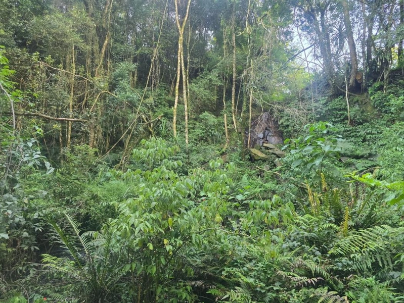 null: 14ª foto da galeria de imagens do imóvel