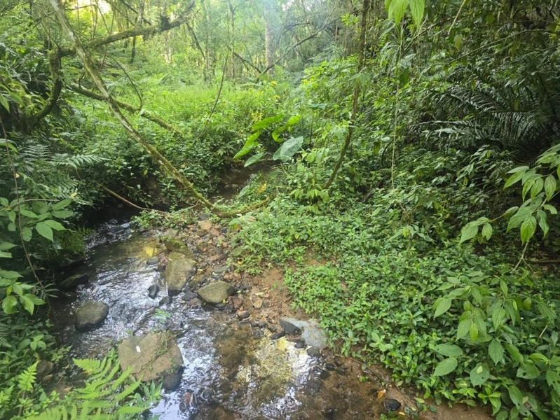 null: 15ª foto da galeria de imagens do imóvel