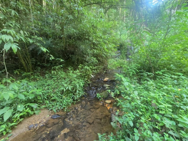 null: 16ª foto da galeria de imagens do imóvel