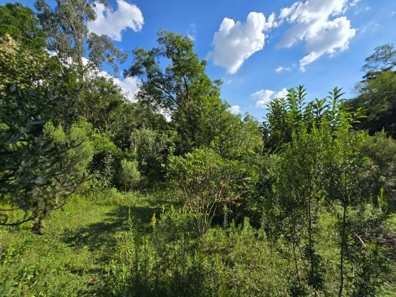 null: 24ª foto da galeria de imagens do imóvel