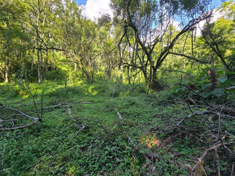 null: 29ª foto da galeria de imagens do imóvel