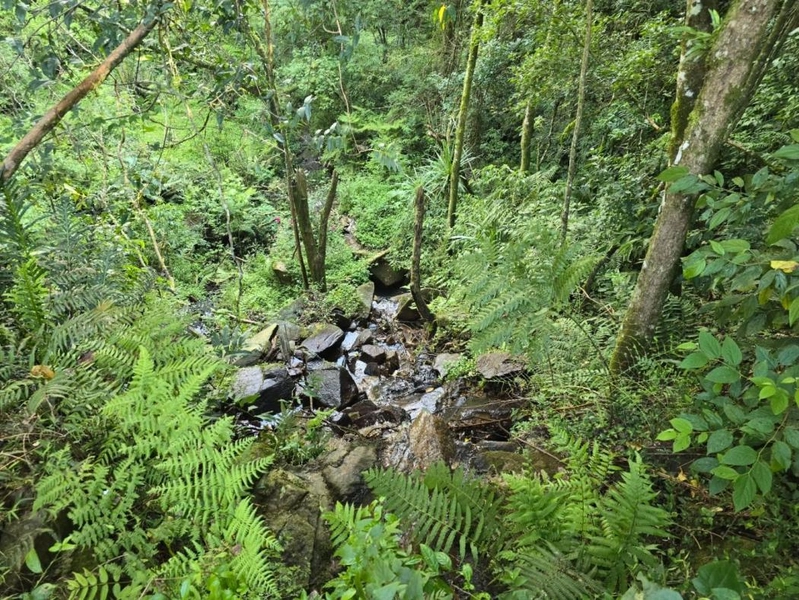 null: 3ª foto da galeria de imagens do imóvel