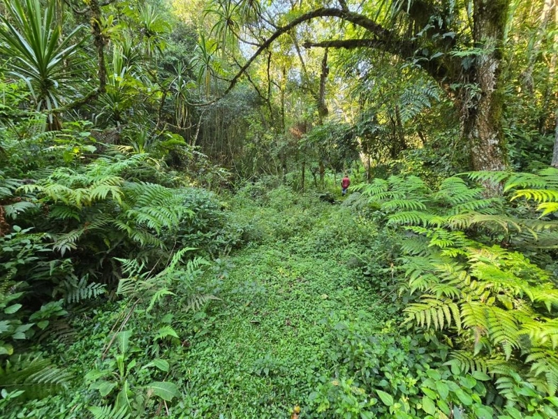 null: 32ª foto da galeria de imagens do imóvel