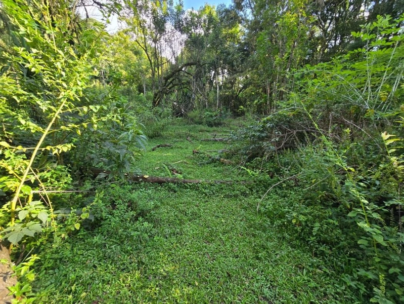 null: 35ª foto da galeria de imagens do imóvel