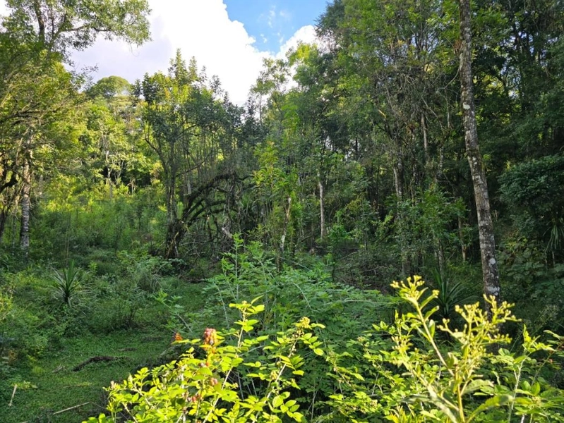 null: 38ª foto da galeria de imagens do imóvel