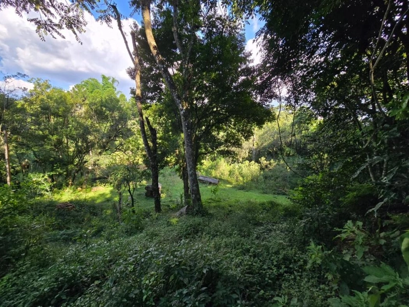 null: 43ª foto da galeria de imagens do imóvel