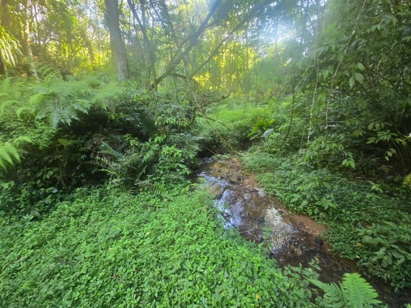 null: 8ª foto da galeria de imagens do imóvel