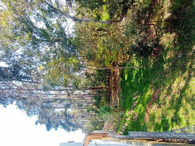 null: 41ª foto da galeria de imagens do imóvel