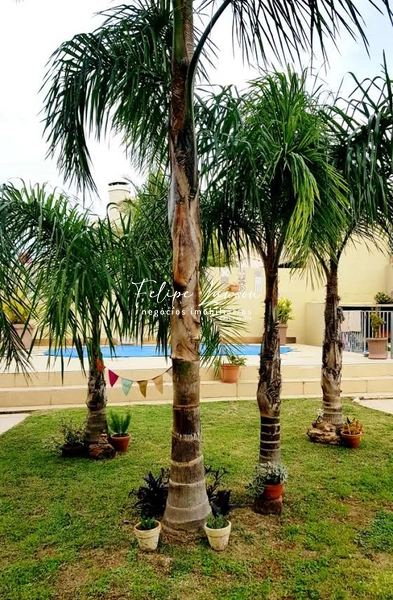 Casa Impecável 3 suítes no Boungaville: 15ª foto da galeria de imagens do imóvel