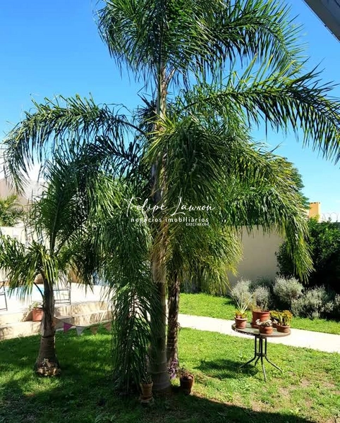 Casa Impecável 3 suítes no Boungaville: 16ª foto da galeria de imagens do imóvel