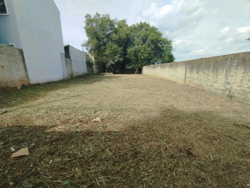 null: 5ª foto da galeria de imagens do imóvel