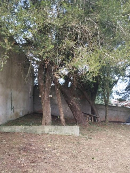 null: 7ª foto da galeria de imagens do imóvel