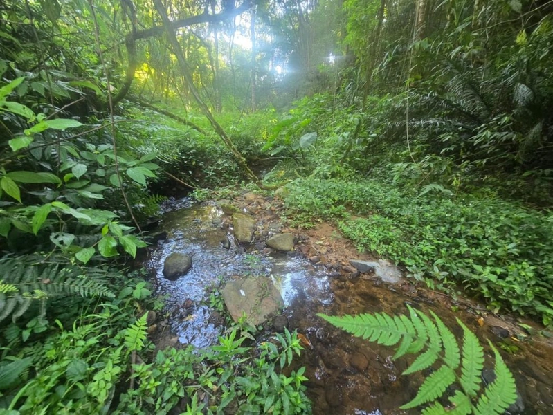 null: 1ª foto da galeria de imagens do imóvel