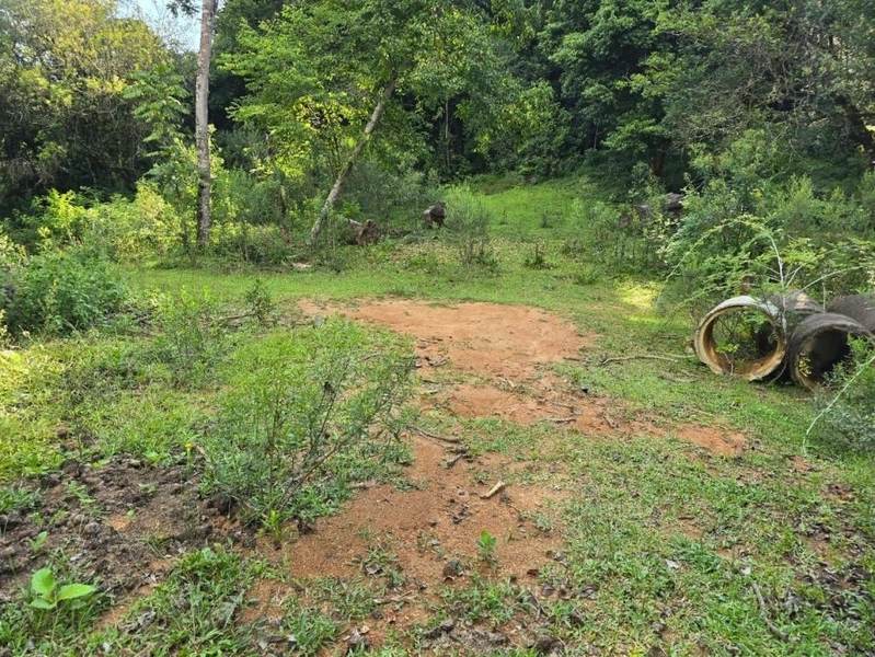 null: 13ª foto da galeria de imagens do imóvel