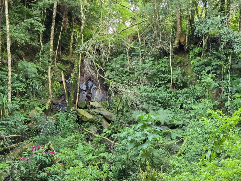 null: 2ª foto da galeria de imagens do imóvel