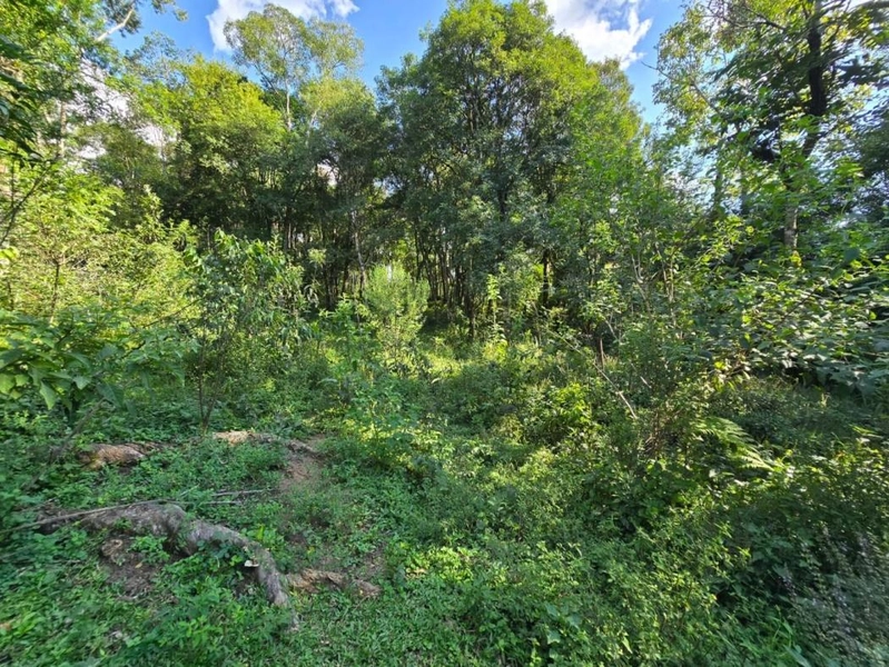 null: 21ª foto da galeria de imagens do imóvel