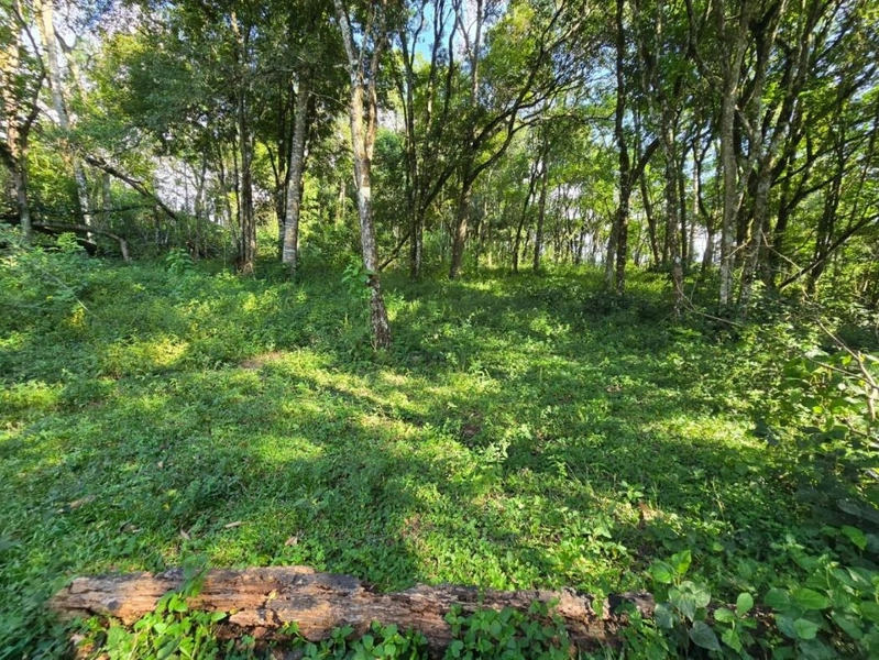 null: 23ª foto da galeria de imagens do imóvel