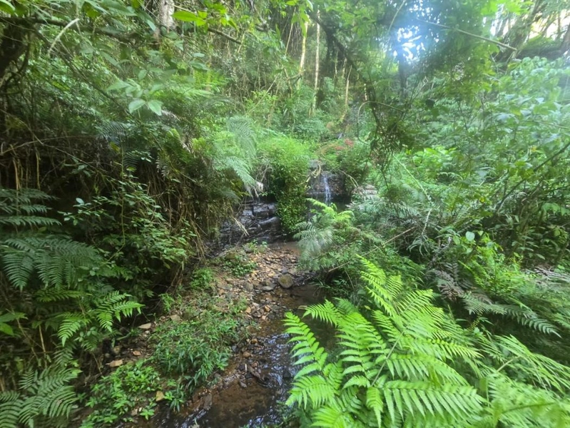 null: 3ª foto da galeria de imagens do imóvel