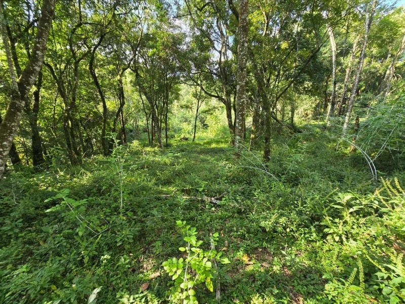 null: 32ª foto da galeria de imagens do imóvel