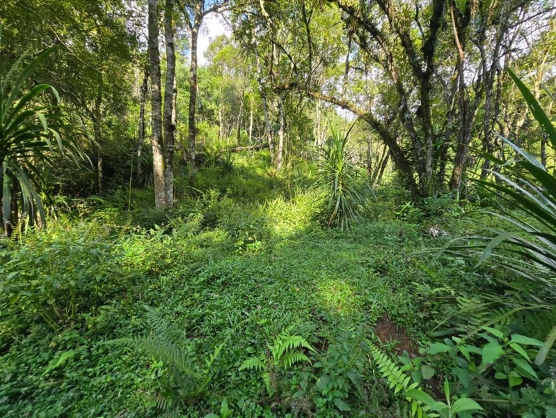 null: 33ª foto da galeria de imagens do imóvel