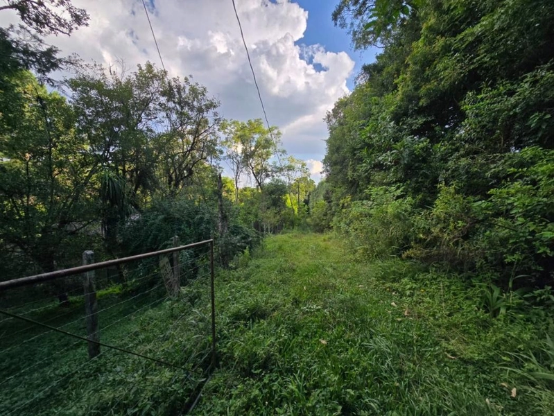 null: 36ª foto da galeria de imagens do imóvel