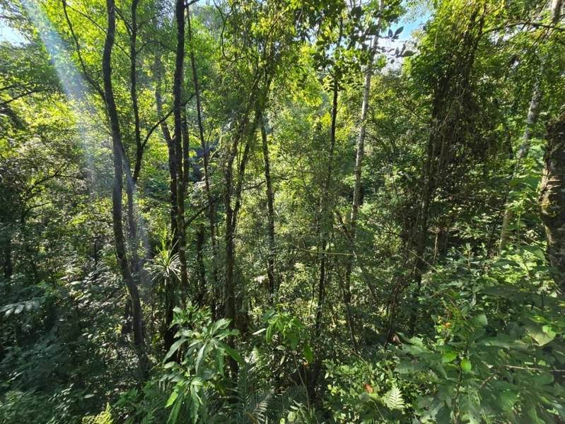 null: 37ª foto da galeria de imagens do imóvel