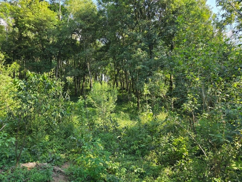 null: 38ª foto da galeria de imagens do imóvel