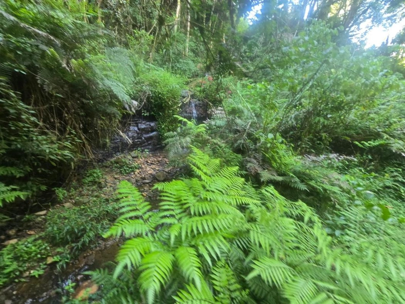 null: 4ª foto da galeria de imagens do imóvel